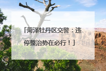 菏泽牡丹区交警：违停整治势在必行！