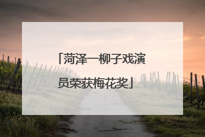 菏泽一柳子戏演员荣获梅花奖