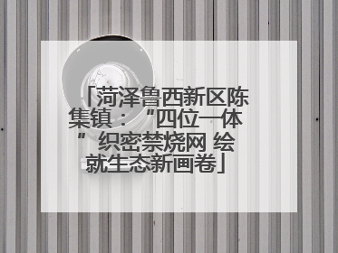 菏泽鲁西新区陈集镇：“四位一体”织密禁烧网 绘就生态新画卷