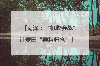 菏泽：“机收会战”让麦田“颗粒归仓”