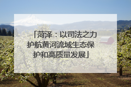 菏泽：以司法之力护航黄河流域生态保护和高质量发展