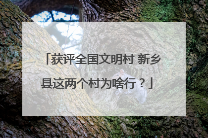 获评全国文明村 新乡县这两个村为啥行？