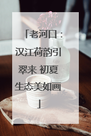 老河口：汉江荷韵引翠来 初夏生态美如画