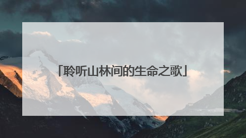 聆听山林间的生命之歌