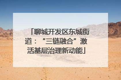 聊城开发区东城街道：“三链融合”激活基层治理新动能