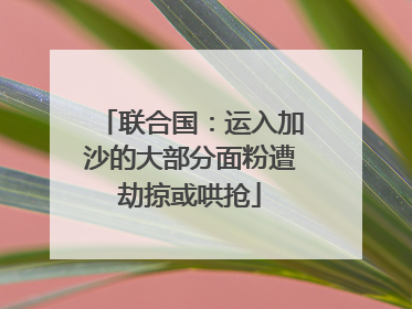 联合国：运入加沙的大部分面粉遭劫掠或哄抢