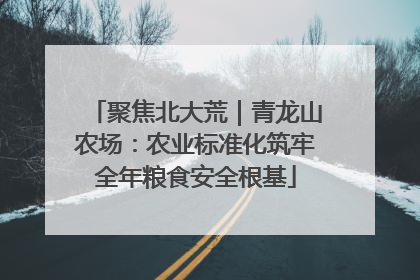 聚焦北大荒｜青龙山农场：农业标准化筑牢全年粮食安全根基