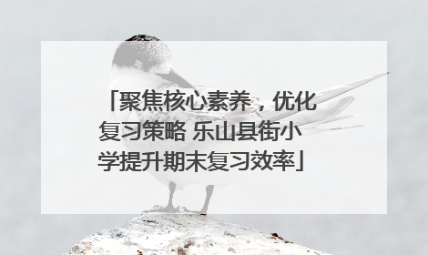 聚焦核心素养，优化复习策略 乐山县街小学提升期末复习效率