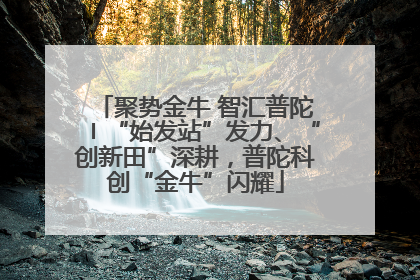 聚势金牛 智汇普陀〡“始发站”发力、“创新田”深耕，普陀科创“金牛”闪耀