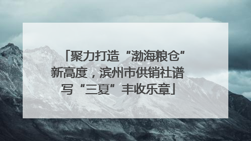 聚力打造“渤海粮仓”新高度，滨州市供销社谱写“三夏”丰收乐章
