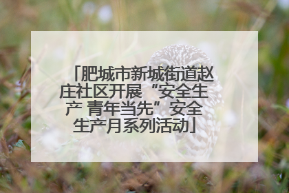 肥城市新城街道赵庄社区开展“安全生产 青年当先”安全生产月系列活动