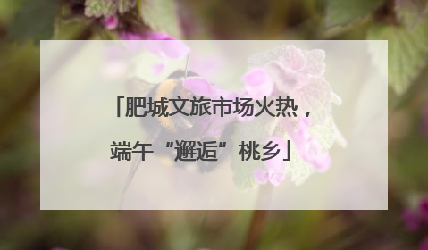 肥城文旅市场火热，端午“邂逅”桃乡