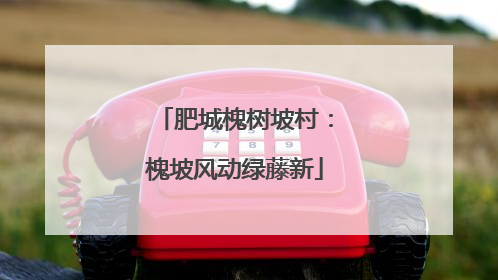 肥城槐树坡村：槐坡风动绿藤新