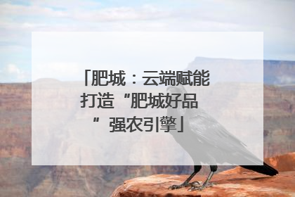 肥城：云端赋能 打造“肥城好品”强农引擎
