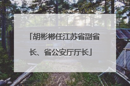 胡彬郴任江苏省副省长、省公安厅厅长