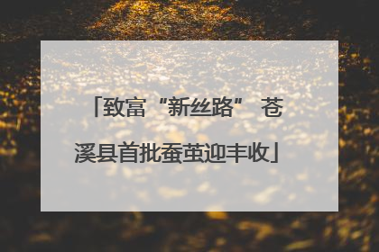 致富“新丝路” 苍溪县首批蚕茧迎丰收