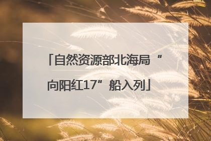 自然资源部北海局“向阳红17”船入列