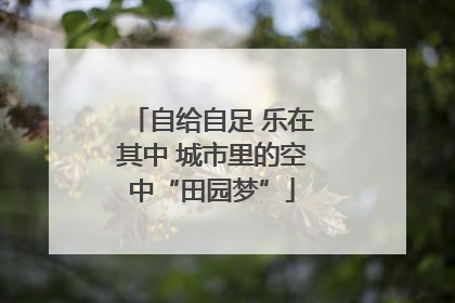 自给自足 乐在其中 城市里的空中“田园梦”