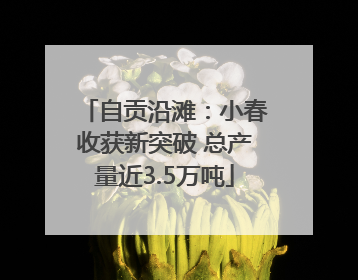 自贡沿滩：小春收获新突破 总产量近3.5万吨