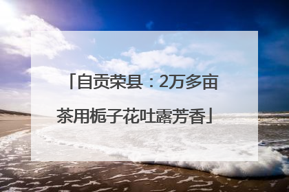自贡荣县：2万多亩茶用栀子花吐露芳香