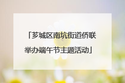 芗城区南坑街道侨联举办端午节主题活动