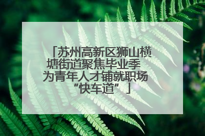 苏州高新区狮山横塘街道聚焦毕业季 为青年人才铺就职场“快车道”