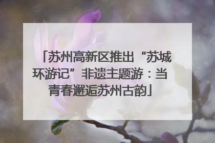 苏州高新区推出“苏城环游记”非遗主题游：当青春邂逅苏州古韵