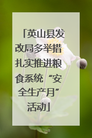 英山县发改局多举措扎实推进粮食系统“安全生产月”活动
