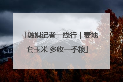 融媒记者一线行｜麦地套玉米 多收一季粮
