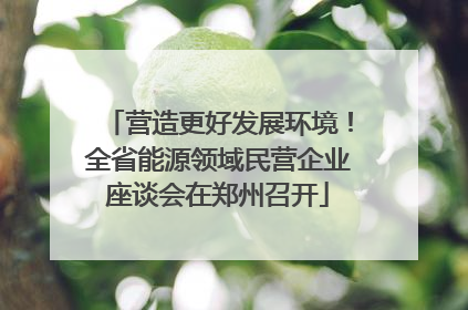 营造更好发展环境！全省能源领域民营企业座谈会在郑州召开