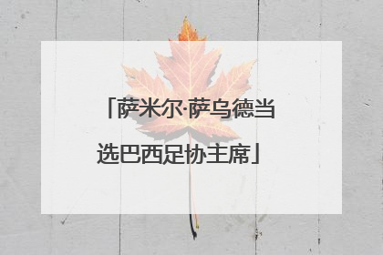 萨米尔·萨乌德当选巴西足协主席