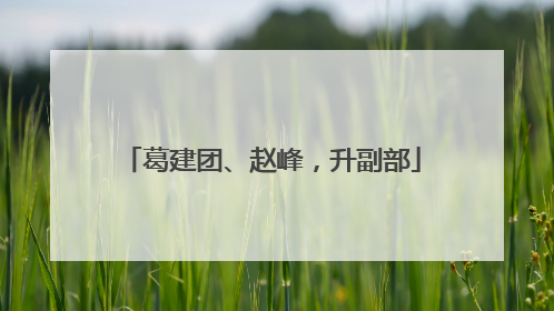 葛建团、赵峰，升副部