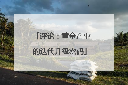 评论：黄金产业的迭代升级密码