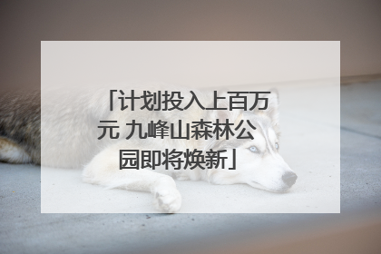 计划投入上百万元 九峰山森林公园即将焕新
