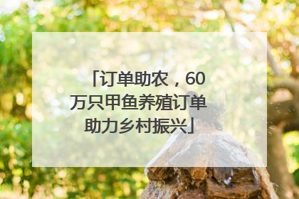 订单助农，60万只甲鱼养殖订单助力乡村振兴