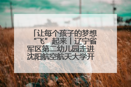 让每个孩子的梦想“飞”起来丨辽宁省军区第二幼儿园走进沈阳航空航天大学开展爱国主义教育