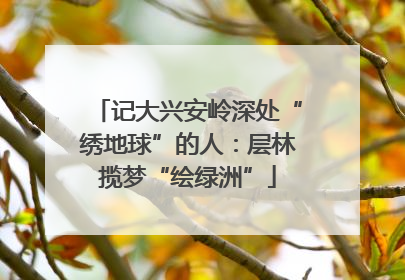 记大兴安岭深处“绣地球”的人：层林揽梦“绘绿洲”