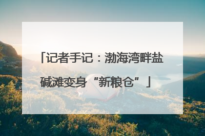 记者手记：渤海湾畔盐碱滩变身“新粮仓”