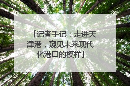 记者手记：走进天津港，窥见未来现代化港口的模样