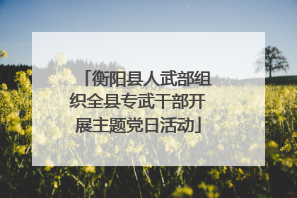 衡阳县人武部组织全县专武干部开展主题党日活动