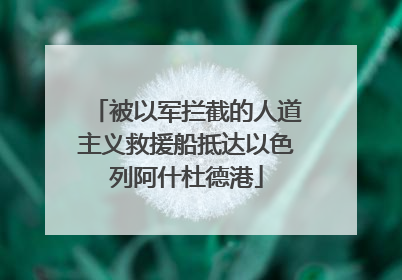 被以军拦截的人道主义救援船抵达以色列阿什杜德港