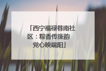西宁福禄巷南社区：粽香传廉韵 党心映端阳