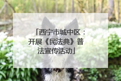西宁市城中区：开展《民法典》普法宣传活动