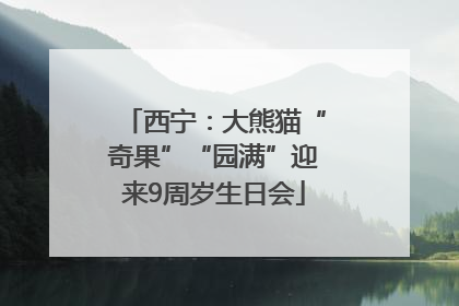 西宁：大熊猫“奇果”“园满”迎来9周岁生日会