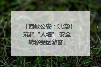 西峡公安：洪流中筑起“人墙” 安全转移受困游客