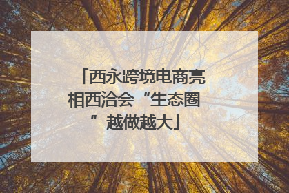 西永跨境电商亮相西洽会“生态圈”越做越大
