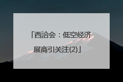 西洽会：低空经济展商引关注(2)