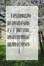 西部陆海新通道向南行丨探寻新通道货物运量增长密码