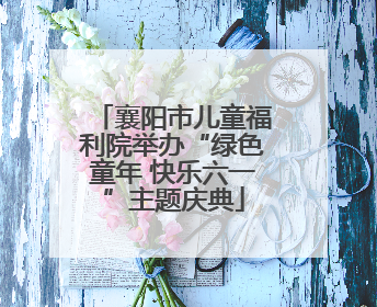 襄阳市儿童福利院举办“绿色童年 快乐六一”主题庆典