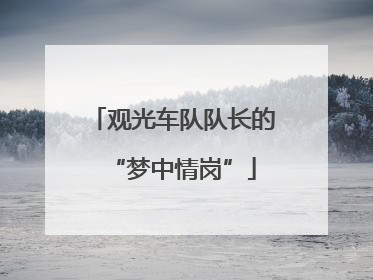 观光车队队长的“梦中情岗”